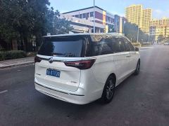 Buick GL8 ES Luxe Enjoyment Edition - photo 10