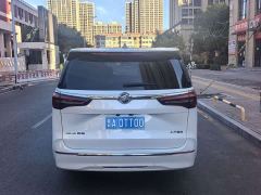 Buick GL8 ES Luxe Enjoyment Edition - photo 11