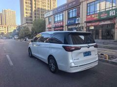 Buick GL8 ES Luxe Enjoyment Edition - photo 9