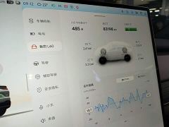 Nio Lerado L60 60kWh Rear-Wheel Drive - photo 11