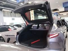 Nio Lerado L60 60kWh Rear-Wheel Drive - photo 18