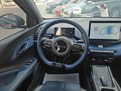 BYD Seagull Glory Edition 305km Freedom Version - ფოტო 10
