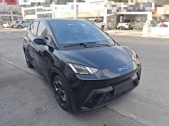 BYD Seagull Glory Edition 305km Freedom Version - ფოტო 3