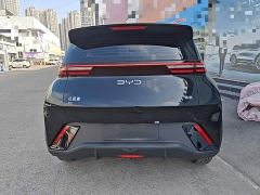 BYD Seagull Glory Edition 305km Freedom Version - ფოტო 5