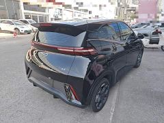 BYD Seagull Glory Edition 305km Freedom Version - ფოტო 6