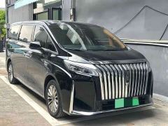 Great Wall WEY Shanshan New Energy Four-Wheel Drive Executive Extended Version - photo 2