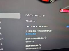 Tesla Model Y Rear-Wheel Drive - фото 11