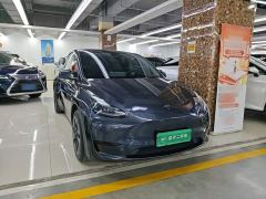 Tesla Model Y Rear-Wheel Drive - фото 3