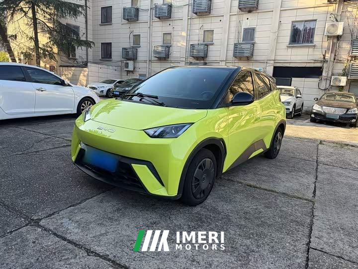 BYD Seagull Vitality Edition - ავტომობილი ჩინეთიდან