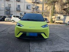 BYD Seagull Vitality Edition - ფოტო 2