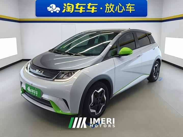 BYD Dolphin 405km Fashion Edition - ავტომობილი ჩინეთიდან