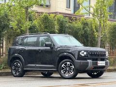 Jetour Jietu Shanhai T1 150km XWD Discovery Smart Driving - photo 15