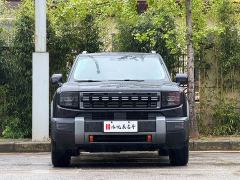 Jetour Jietu Shanhai T1 150km XWD Discovery Smart Driving - photo 2