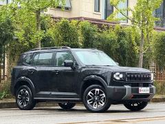 Jetour Jietu Shanhai T1 150km XWD Discovery Smart Driving - photo 3