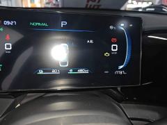 BYD Qin PLUS Glory Edition DM-i 55KM Leading - ფოტო 11