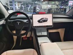 Tesla Model Y Rear-Wheel Drive - фото 12