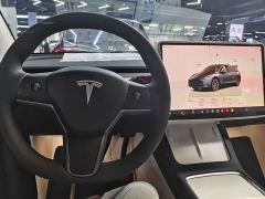 Tesla Model Y Rear-Wheel Drive - фото 6