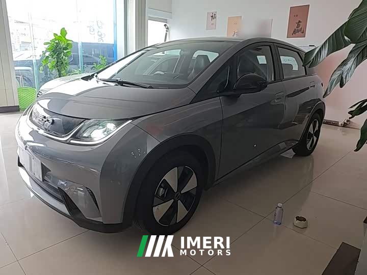 BYD Dolphin 420km Freedom Edition - ავტომობილი ჩინეთიდან