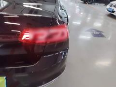 Volkswagen Magotan 330TSI DSG Luxury - ფოტო 7