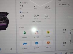 Li Auto L8 Pro - ფოტო 11