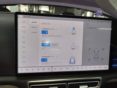 Li Auto L8 Pro - ფოტო 12