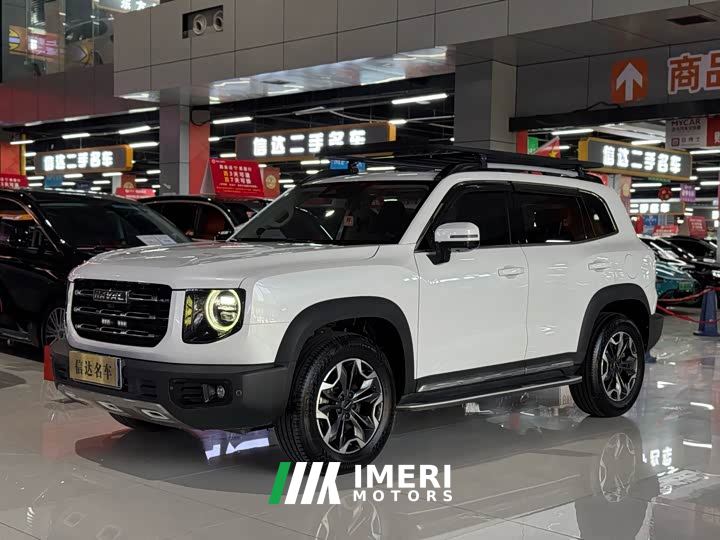 Great Wall Dachshund 2.0T DCT Four-Wheel Drive Chinese Rural Dog Edition - car from China