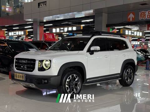 2022 Great Wall Dachshund 2.0T DCT Four-Wheel Drive Chinese Rural Dog Edition - car from China