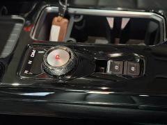 Great Wall Dachshund 2.0T DCT Four-Wheel Drive Chinese Rural Dog Edition - photo 13