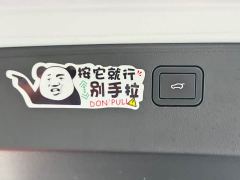 Great Wall Dachshund 2.0T DCT Four-Wheel Drive Chinese Rural Dog Edition - photo 20