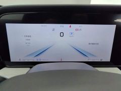 FAW Hongqi HS5 2.0T Four-Wheel Drive Mystic Shadow Edition - photo 14