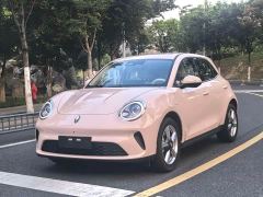 ORA Good Cat 430km Deluxe Edition - ფოტო 1