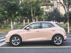 ORA Good Cat 430km Deluxe Edition - ფოტო 19