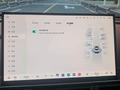 ORA Good Cat 430km Deluxe Edition - ფოტო 6