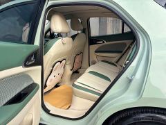 ORA Good Cat Morandi Edition 400km Standard Range Luxury Trim Ternary Lithium Battery - photo 11