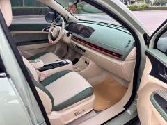 ORA Good Cat Morandi Edition 400km Standard Range Luxury Trim Ternary Lithium Battery - photo 13