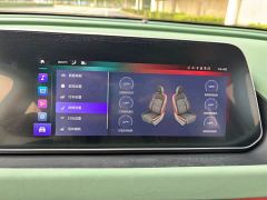 ORA Good Cat Morandi Edition 400km Standard Range Luxury Trim Ternary Lithium Battery - photo 14