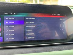 ORA Good Cat Morandi Edition 400km Standard Range Luxury Trim Ternary Lithium Battery - photo 15