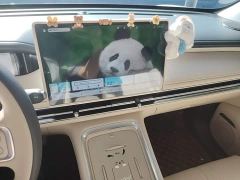 Wuling Bingguo S 325km Deluxe Edition - ფოტო 12