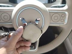 Wuling Bingguo S 325km Deluxe Edition - ფოტო 8