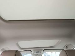 Denza D9 DM-i 965 Premium Edition - ფოტო 17