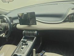 BYD Yuan Plus 510KM Respect and Honor Edition - ფოტო 12