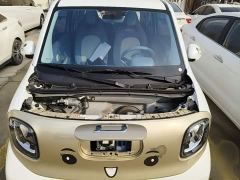 FAW Besturn Xiaoma 222km Dynamic Edition - photo 19