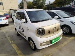 FAW Besturn Xiaoma 222km Dynamic Edition - photo 3