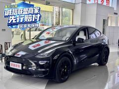 Tesla Model Y Standard Range RWD - ფოტო 1