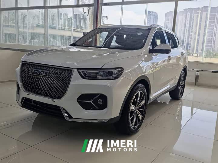 Haval H6 1.5T Automatic Champion Edition - ავტომობილი ჩინეთიდან