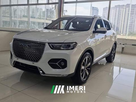 2021 Haval H6 1.5T Automatic Champion Edition - ავტომობილი ჩინეთიდან