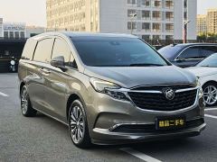 Buick GL8 ES Land Respect 653T Luxury - ფოტო 3