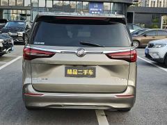 Buick GL8 ES Land Respect 653T Luxury - ფოტო 6
