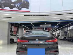 BMW X4 xDrive 30i M Sport Night Edition Package - photo 7