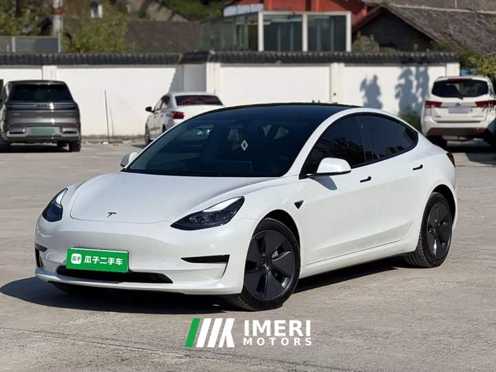 Tesla Model 3 Rear-Wheel Drive - car from China